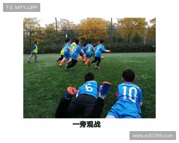 上海篮球队蜕变之路：从传统强队到现代化竞技新篇章