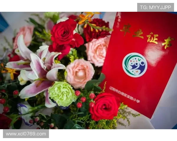 与杨芳畅谈篮球生涯的点滴与成长之路