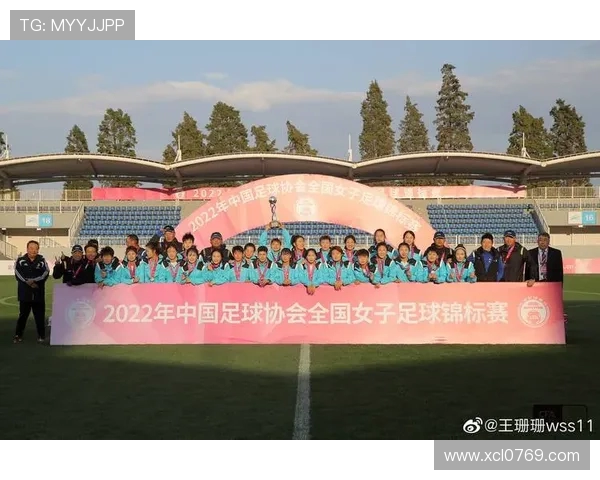 全国锦标赛分析：北京羽毛球队在比赛中的战术意识与团队协作表现评析