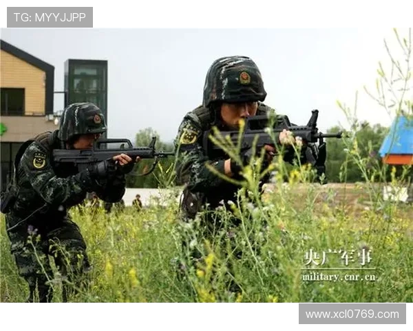 北京乒乓球队战术解析与训练策略探讨助力竞技水平提升