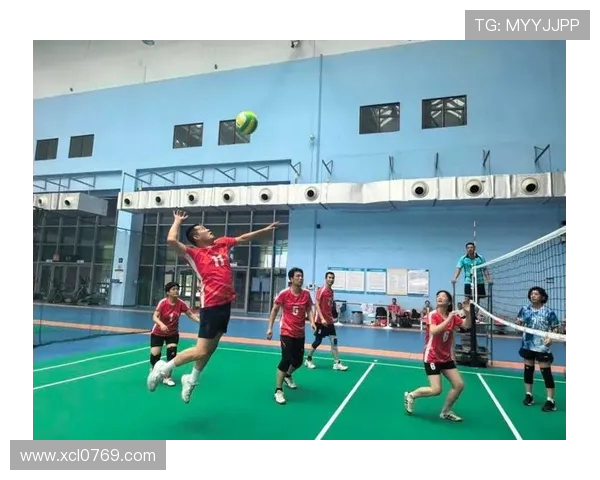 南京排球队心理素质强劲跻身全国第三名展现团队风采