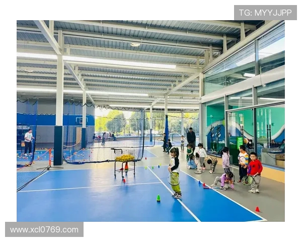 南京网球队的阵地战解析：网球热点背后的策略与挑战