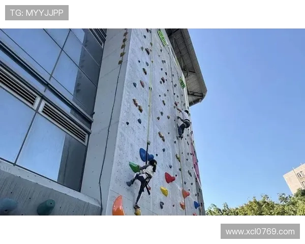 广州攀岩队在全国攀岩耐力排行榜中荣获第十名的佳绩引发关注