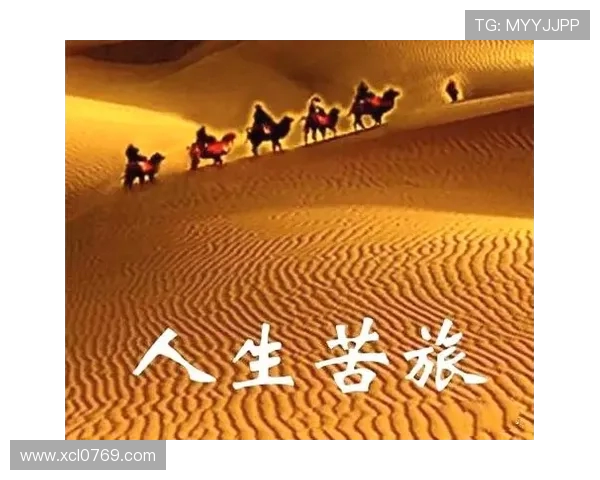 深度对话周敏排球人生的成长与挑战探索