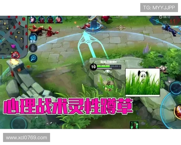 王者荣耀战术解析：深入探讨IG战队的防守策略与应对技巧