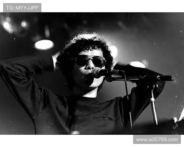 王岚的音乐之路与人生故事探索她在华语乐坛的独特魅力与影响力