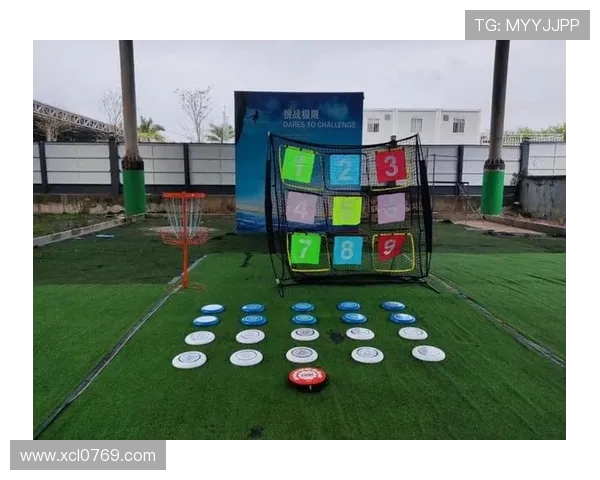 飞盘战术解析杭州飞盘队如何构建高效进攻体系与团队配合技巧 飞盘战术解析杭州飞盘队如何构建高效进攻体系与团队配合技巧