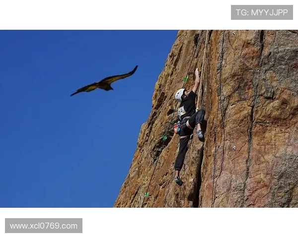 攀岩战术排行榜揭晓上海攀岩队荣获第三名成就辉煌 攀岩战术排行榜揭晓上海攀岩队荣获第三名成就辉煌