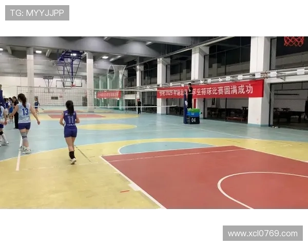武汉排球队技术揭秘：排球巨献背后的训练与战术分析