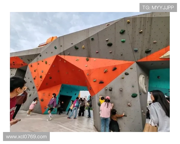 上海极限运动队勇闯中路新高峰探索极限运动的未来发展之路